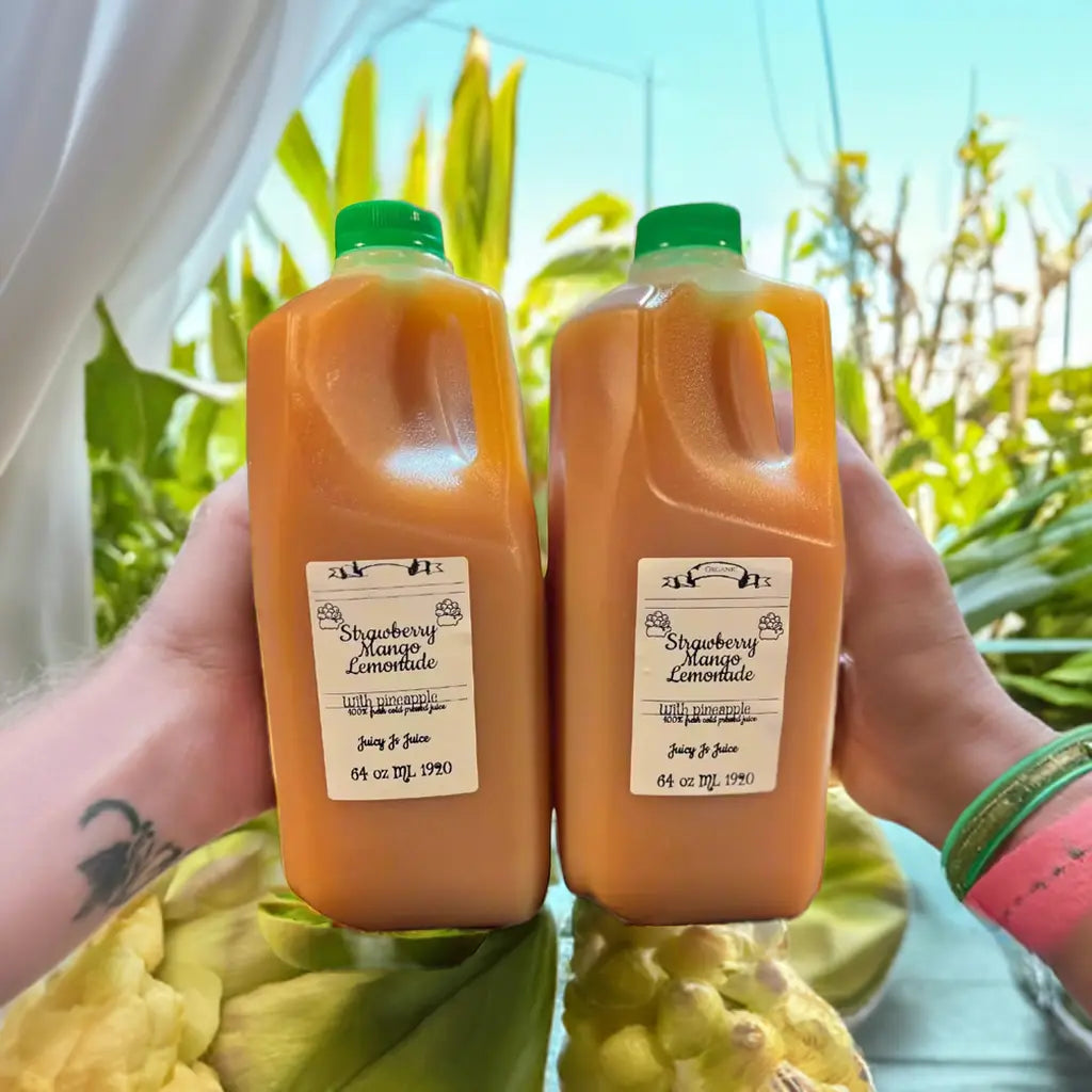 (2 64 oz )Strawberry mango orange pineapple lemonade detox juice cleanse - Juicy Js Fresh Juices