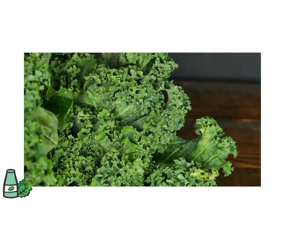 2 64 0z jugs Of Our Morning Greens with Herbs - Juicy Js Fresh Juices